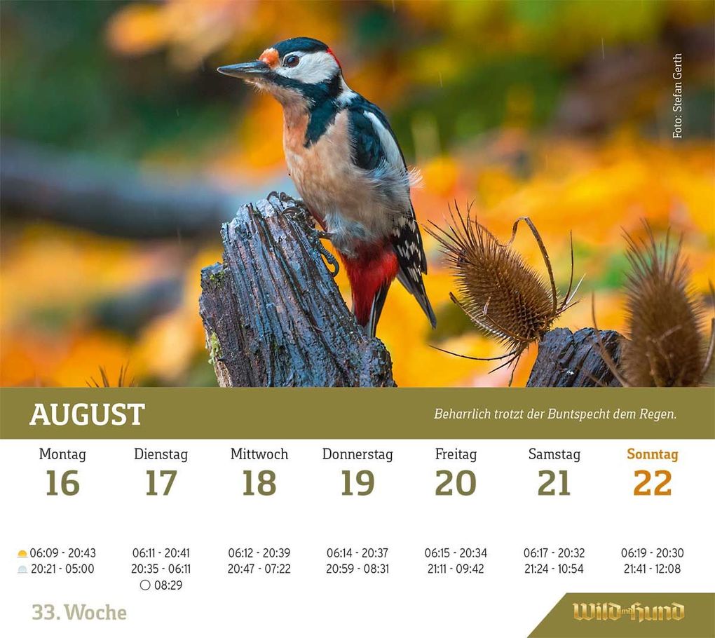 Weitere Ansicht: WILD UND HUND Edition: Jagdkalender Tischvariante 2027