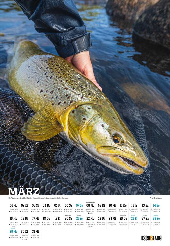 Weitere Ansicht: Fisch & Fang Edition: Anglerkalender 2027