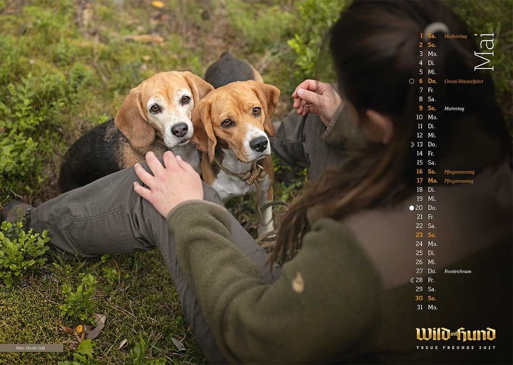 Weitere Ansicht: WILD UND HUND Edition: Treue Freunde Kalender 2027