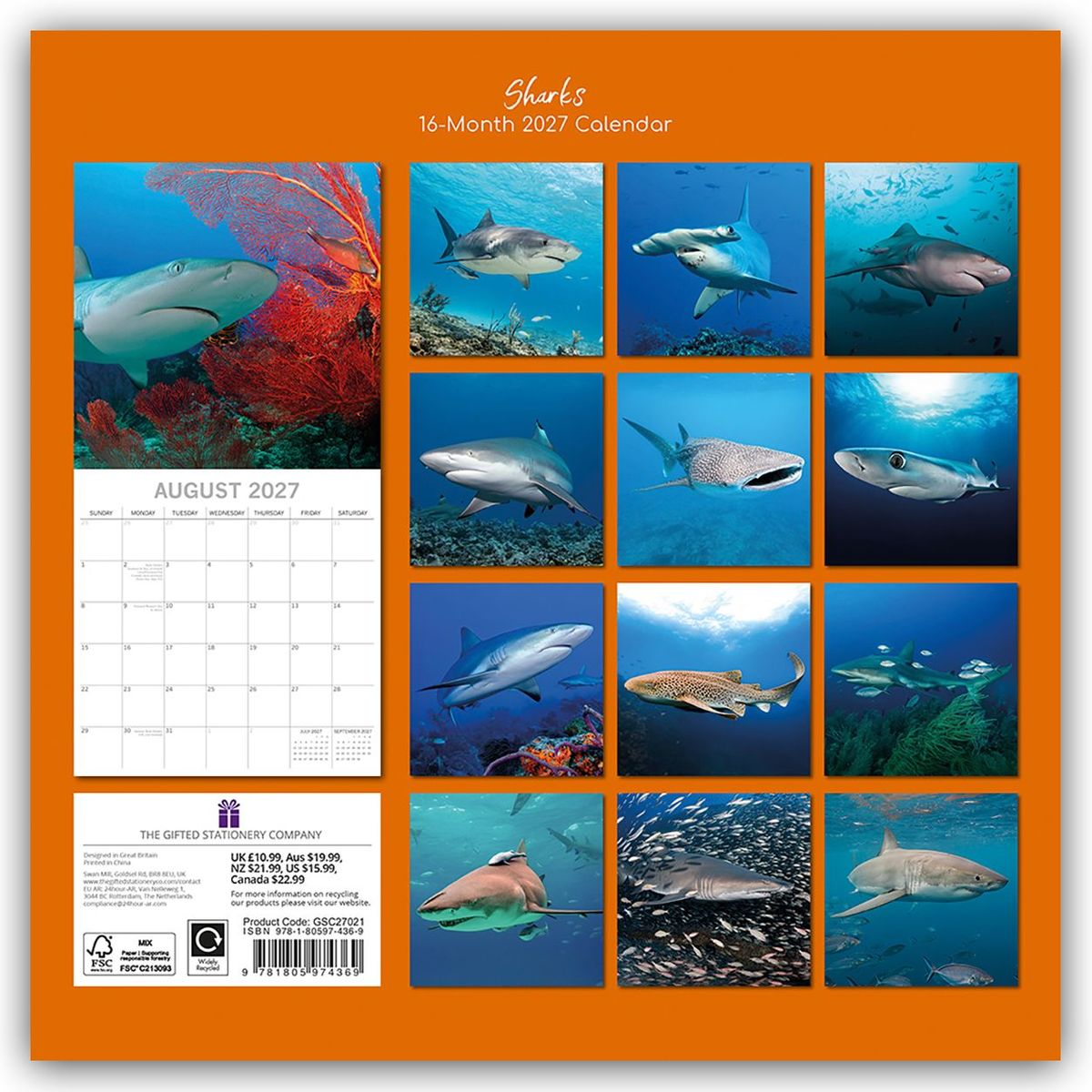 Weitere Ansicht: Sharks - Haie 2027 - 16-Monatskalender | Gifted Stationery Co. Ltd
