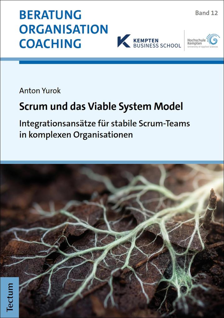 Produktbild: Scrum und das Viable System Model | Anton Yurok