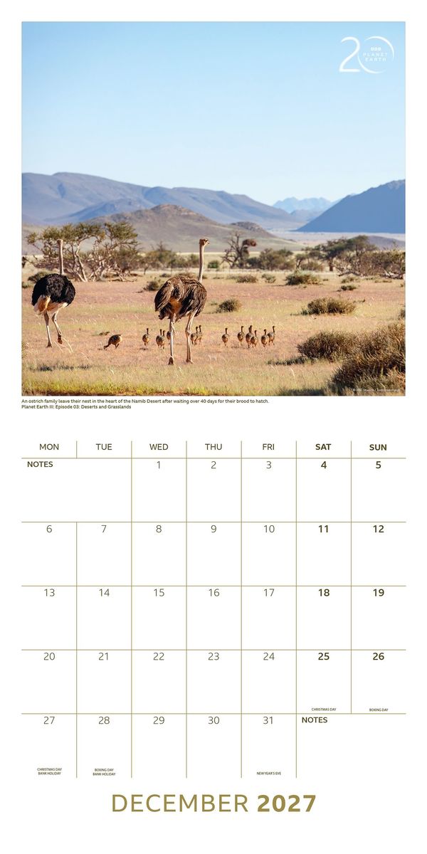 Weitere Ansicht: BBC Planet Earth III - BBC Planet Erde III 2027 - Wandkalender