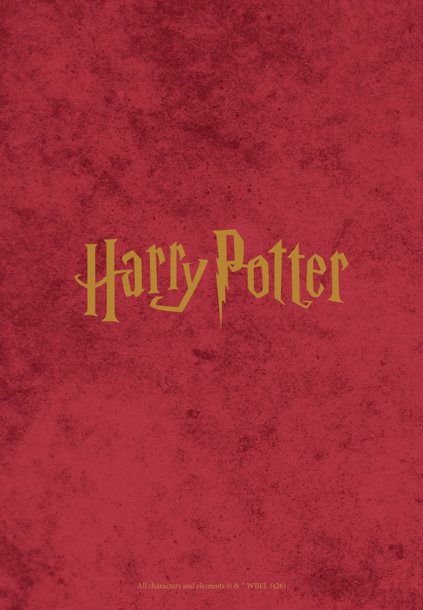 Weitere Ansicht: Harry Potter - A5-Tischkalender 2027 | Danilo Promotion Ltd
