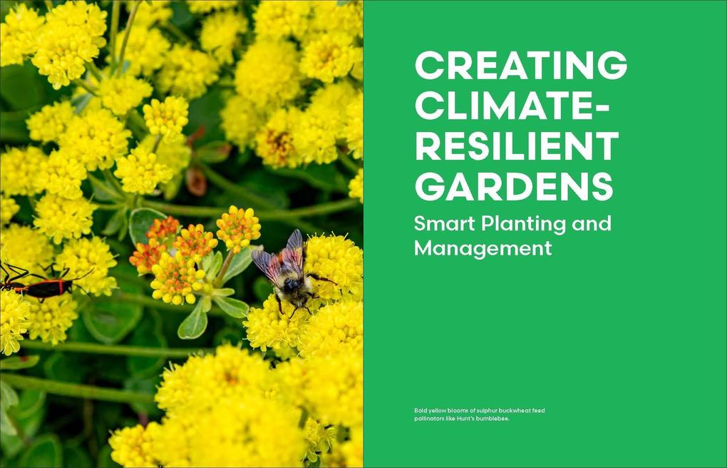 Weitere Ansicht: The Resilient Pacific Northwest Garden | John J. Albers, Baqi Kopelman