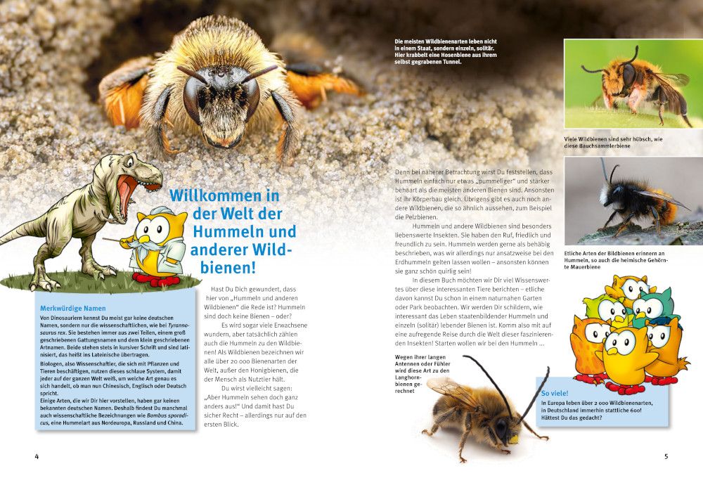 Weitere Ansicht: Entdecke Hummeln und andere Wildbienen | Inge Vogler, Irmin Vogler