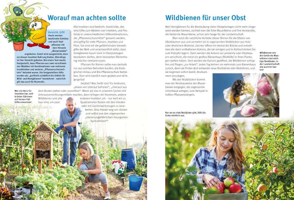 Weitere Ansicht: Entdecke Hummeln und andere Wildbienen | Inge Vogler, Irmin Vogler