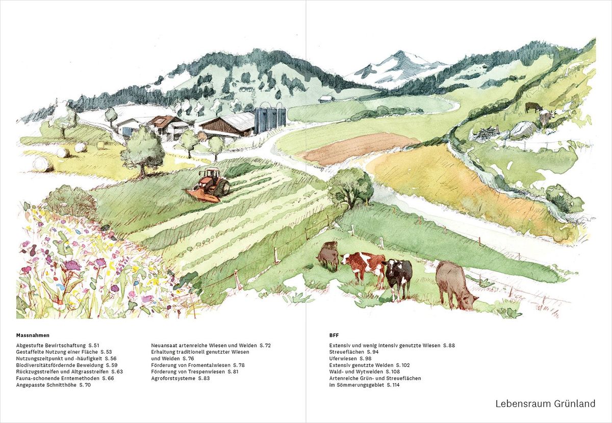 Weitere Ansicht: Praxishandbuch Biodiversität in der Landwirtschaft
