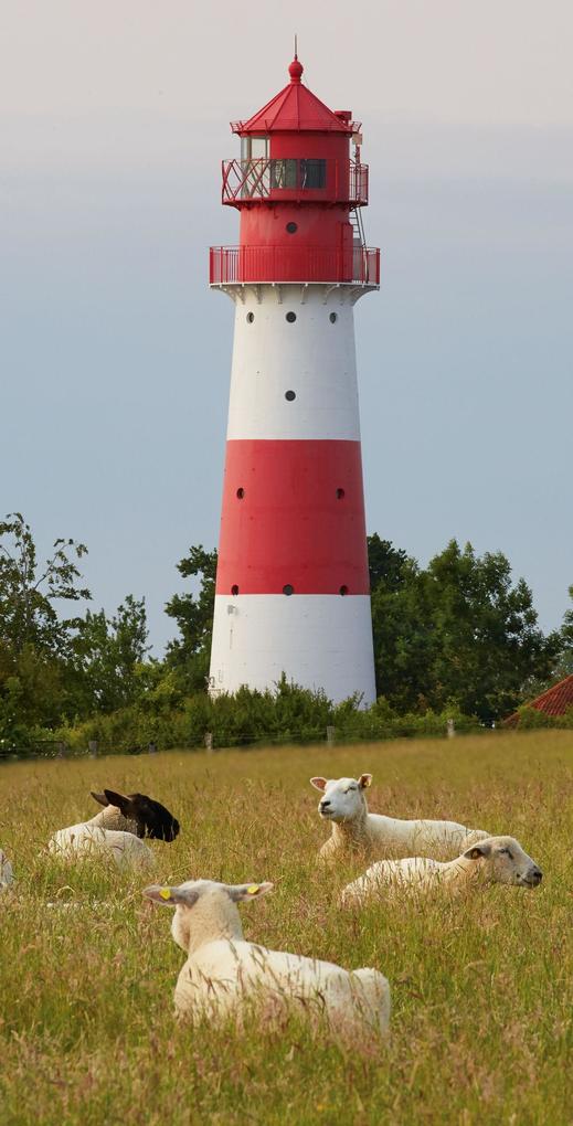 Weitere Ansicht: LEUCHTTÜRME an Nord- und Ostsee 2027. Postkartenkalender