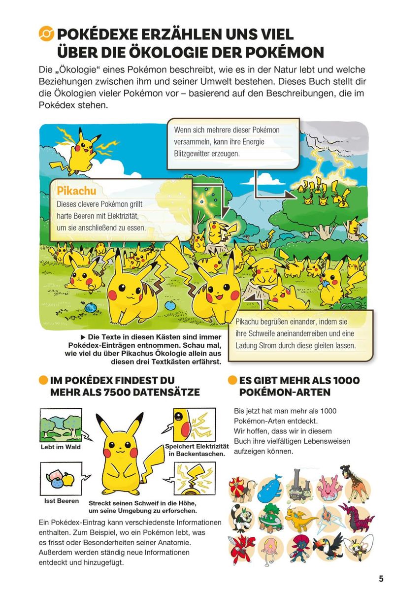 Weitere Ansicht: Pokémon Handbuch: Pokécology