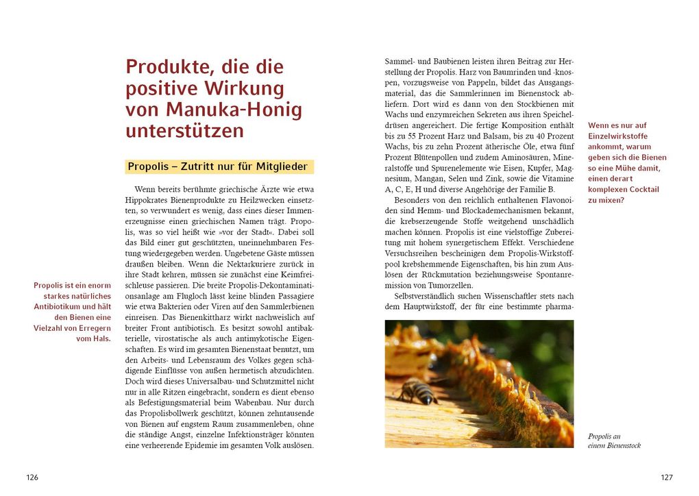 Weitere Ansicht: Manuka-Honig | Detlef Mix