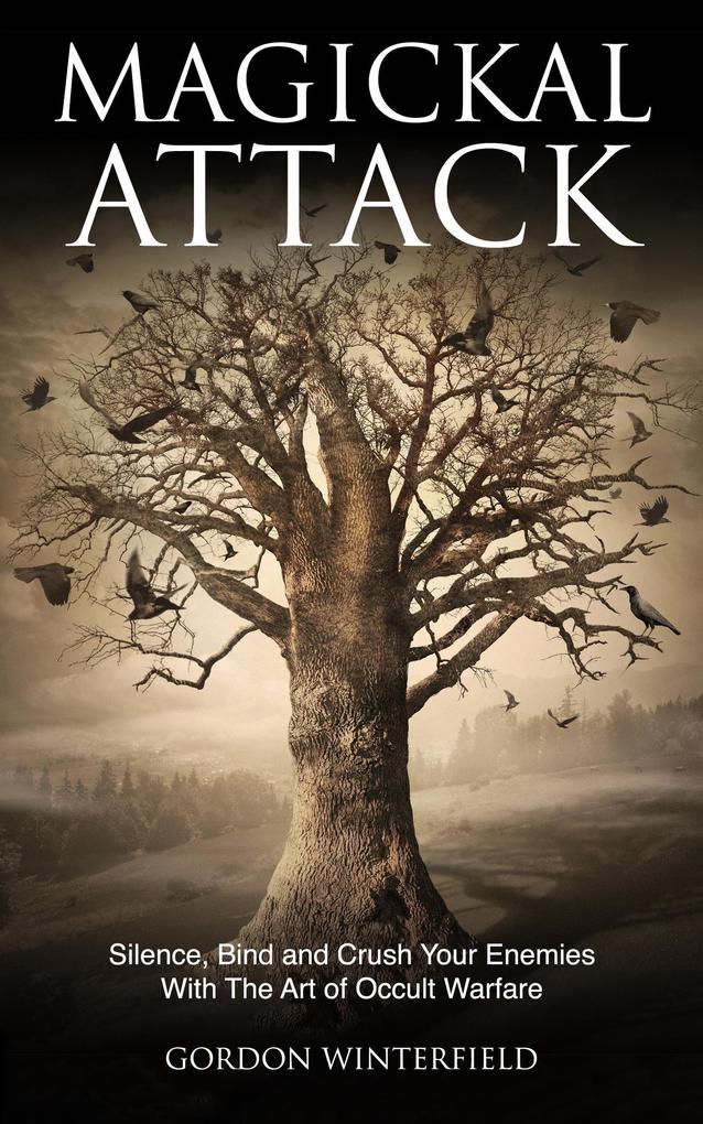 Produktbild: Magickal Attack | Gordon Winterfield