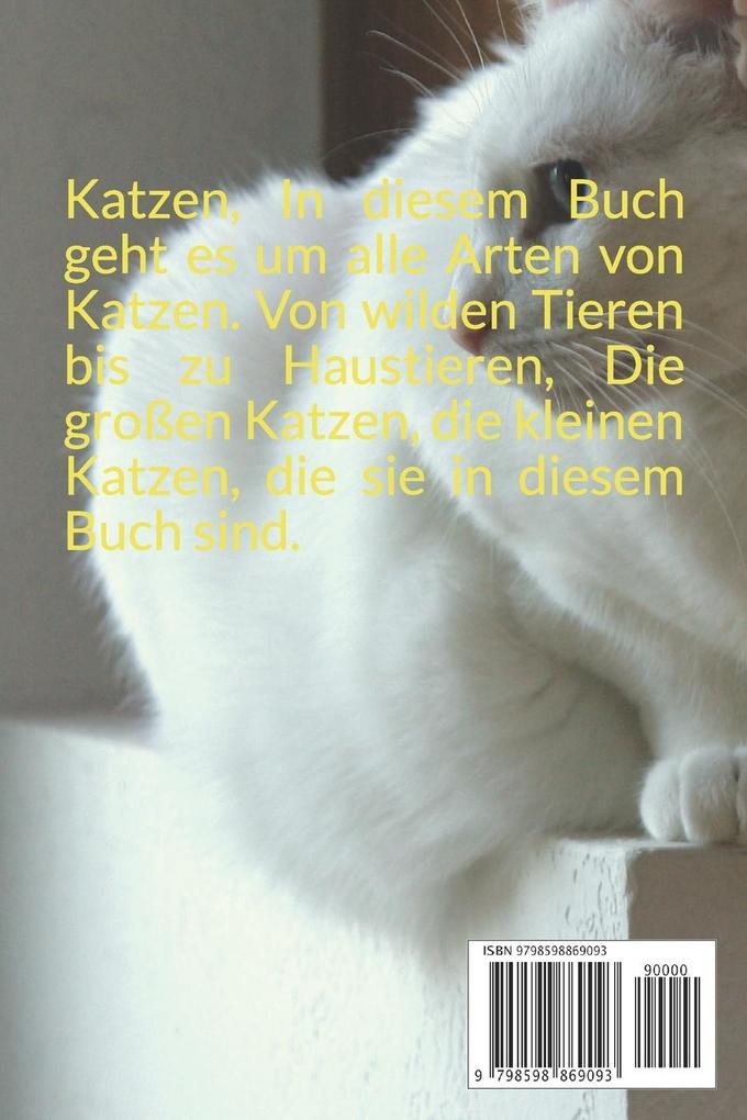 Weitere Ansicht: Katzen | Nikki Hughey
