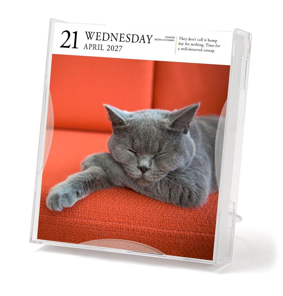 Weitere Ansicht: Cat Page-A-Day® Gallery Calendar 2027