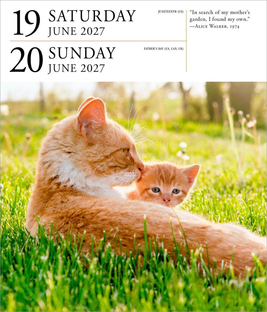 Weitere Ansicht: Cat Page-A-Day® Gallery Calendar 2027