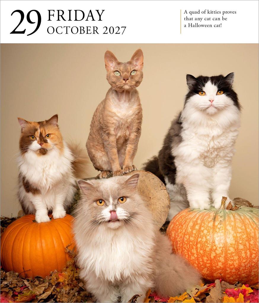 Weitere Ansicht: Cat Page-A-Day® Gallery Calendar 2027