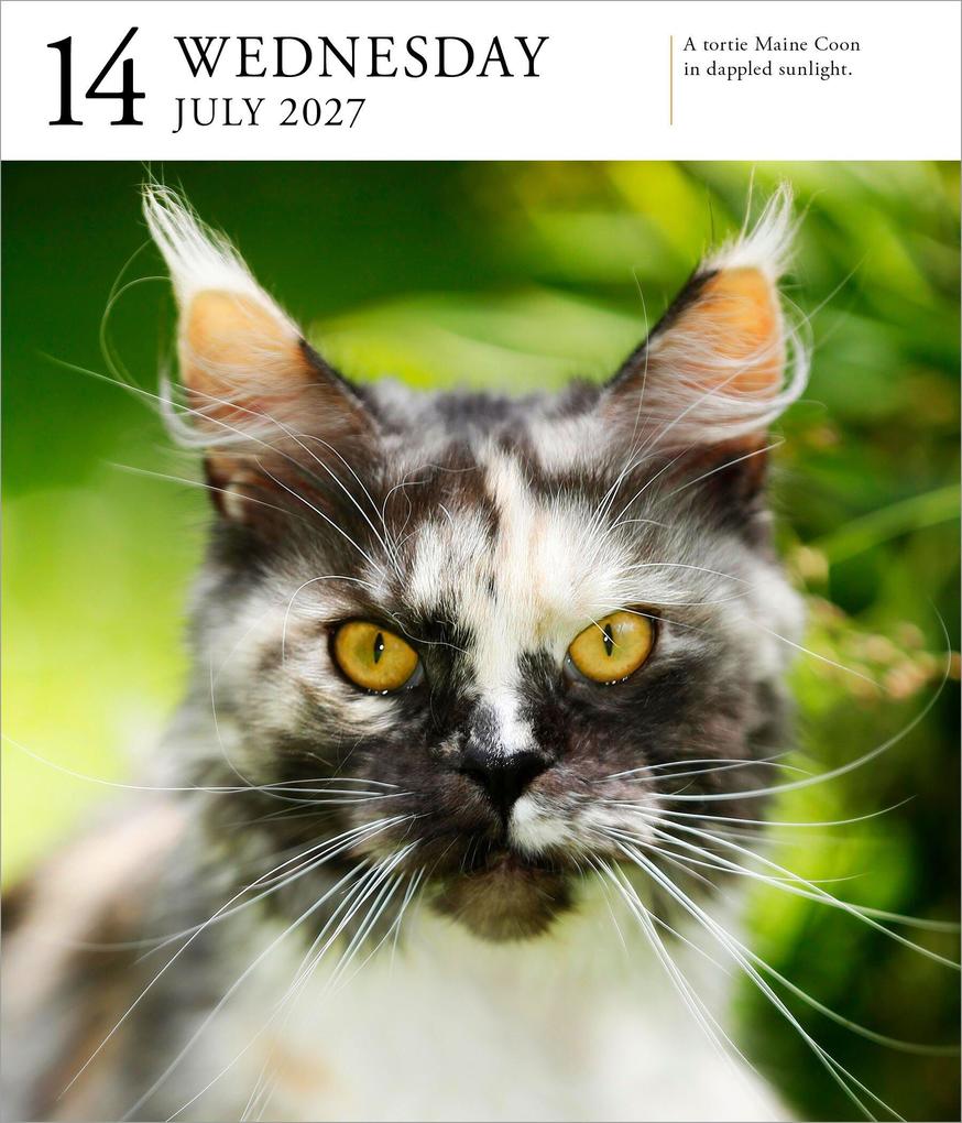 Weitere Ansicht: Cat Page-A-Day® Gallery Calendar 2027
