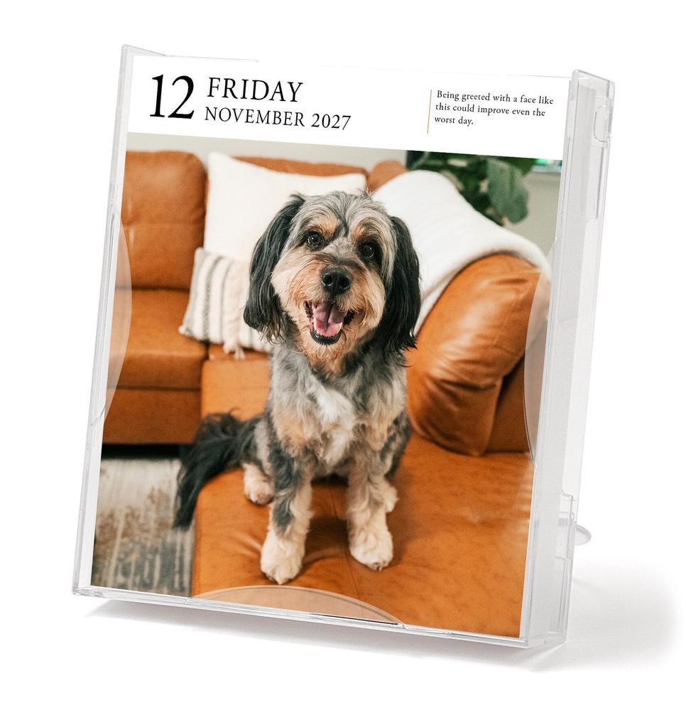 Weitere Ansicht: Dog Page-A-Day® Gallery Calendar 2027