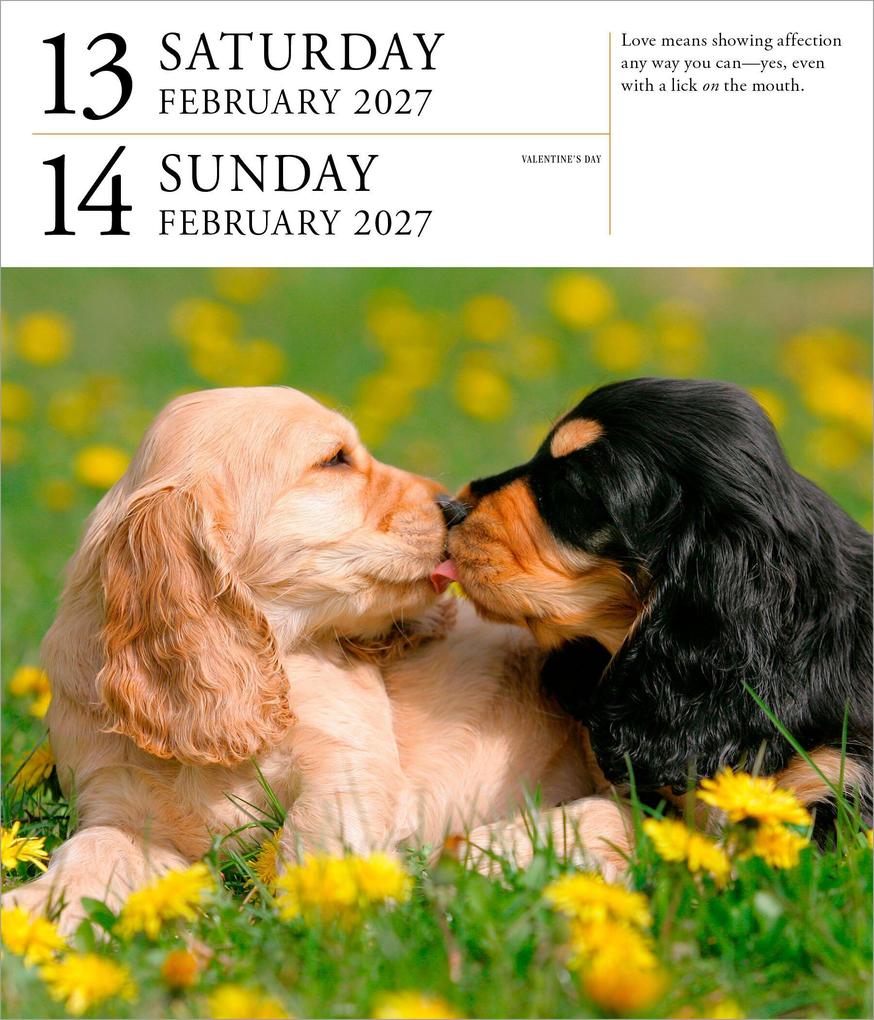 Weitere Ansicht: Dog Page-A-Day® Gallery Calendar 2027