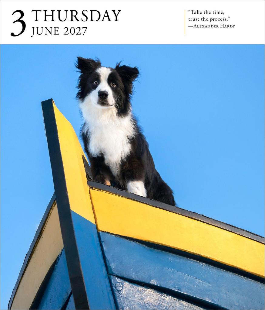 Weitere Ansicht: Dog Page-A-Day® Gallery Calendar 2027