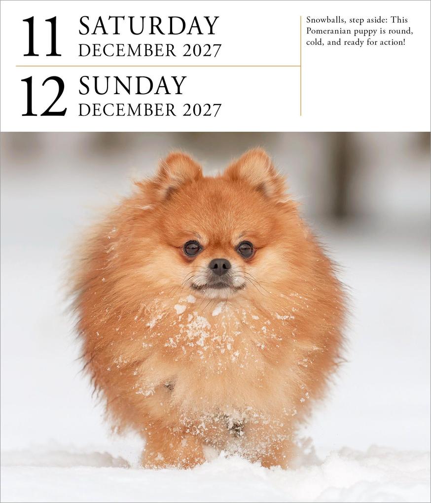 Weitere Ansicht: Dog Page-A-Day® Gallery Calendar 2027