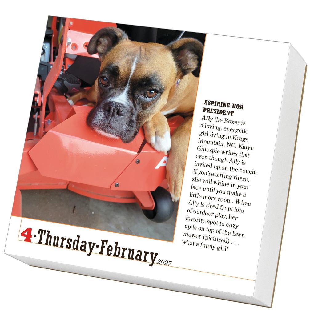 Weitere Ansicht: 365 Dogs Page-A-Day® Calendar 2027