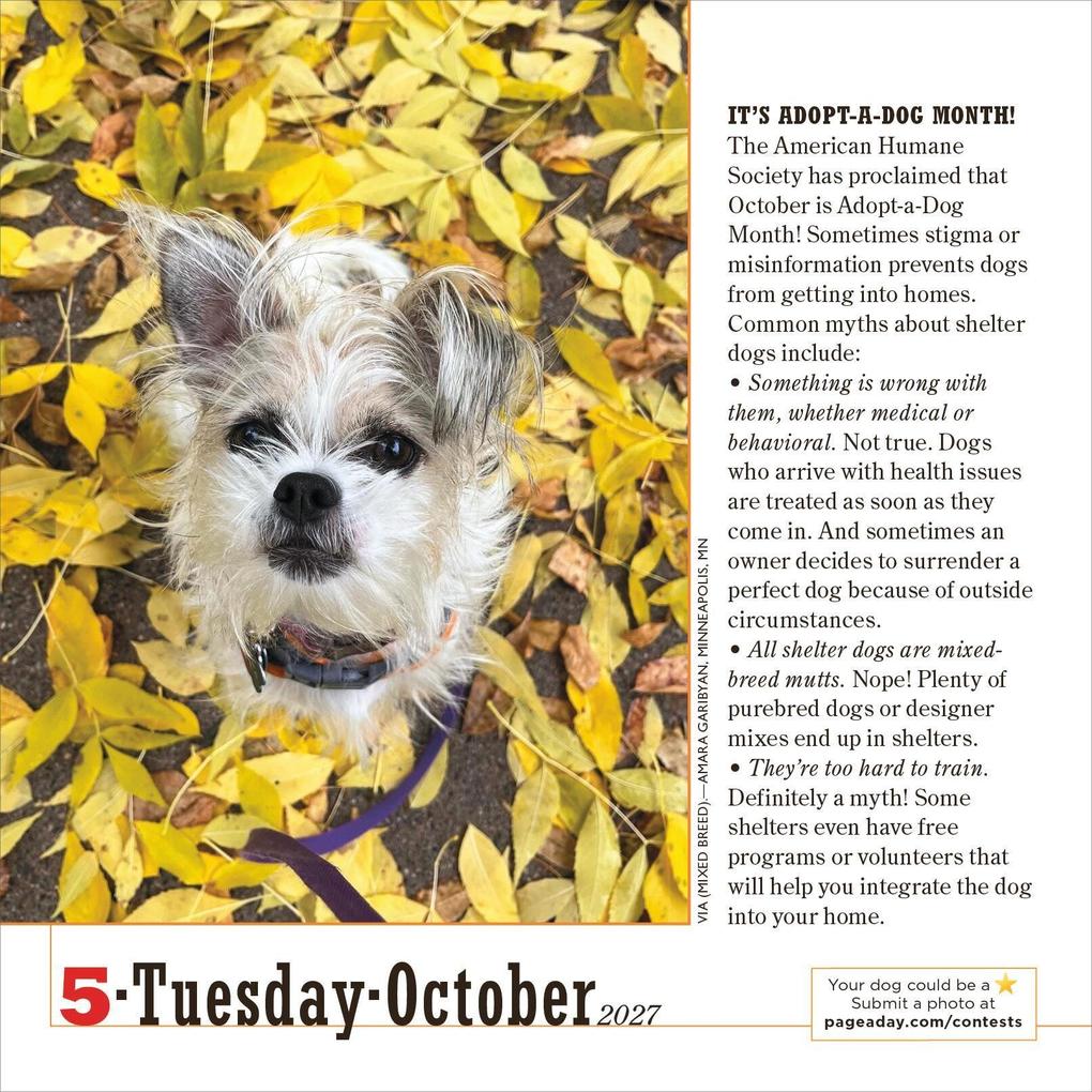 Weitere Ansicht: 365 Dogs Page-A-Day® Calendar 2027