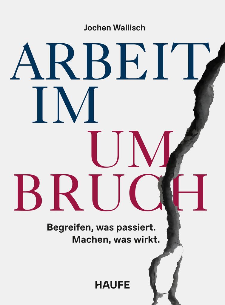 Produktbild: Arbeit im Umbruch | Jochen Wallisch