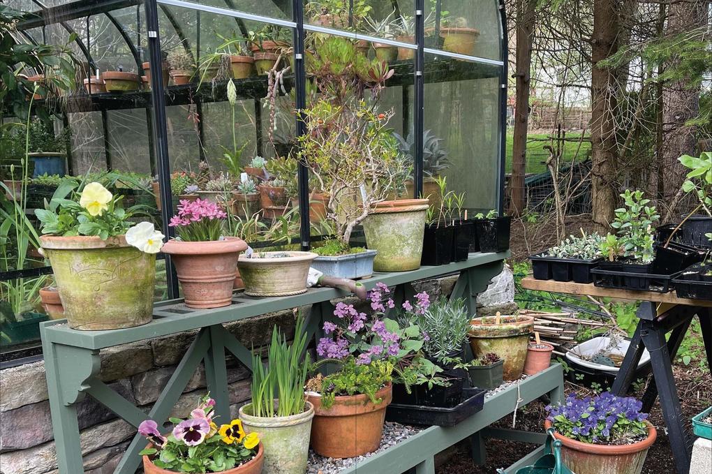 Weitere Ansicht: Greenhouse Dreamhouse | Matt Mattus