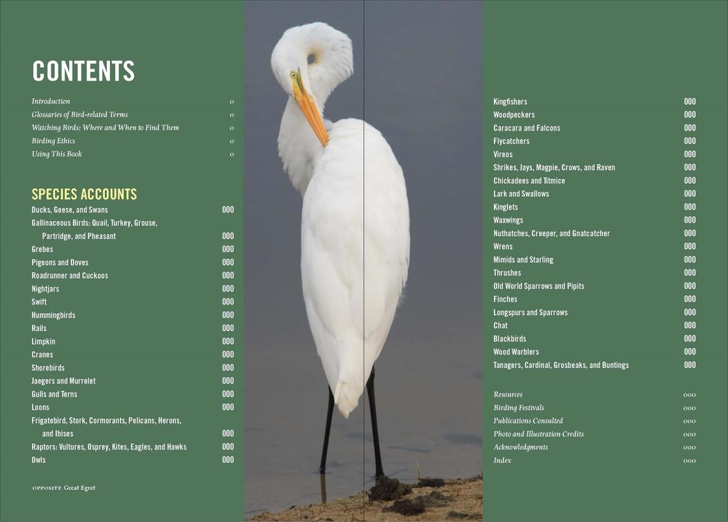 Weitere Ansicht: Birds of the Midwest | Sheryl Devore, Steven Bailey
