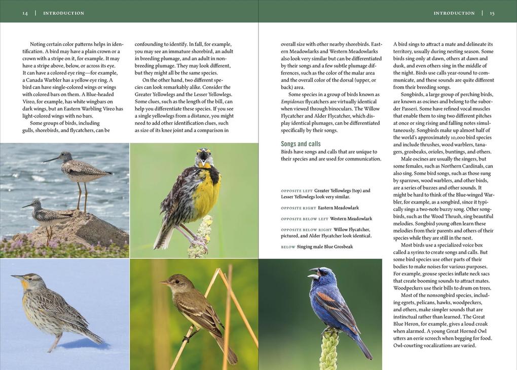 Weitere Ansicht: Birds of the Midwest | Sheryl Devore, Steven Bailey