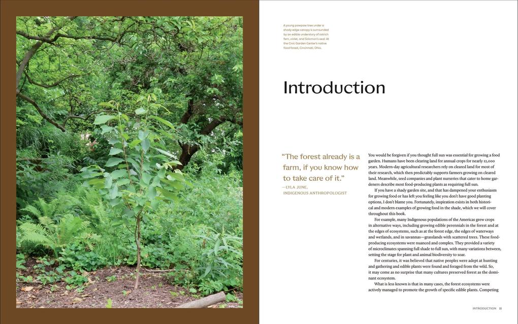 Weitere Ansicht: The Edible Shade Garden | Amy Stross