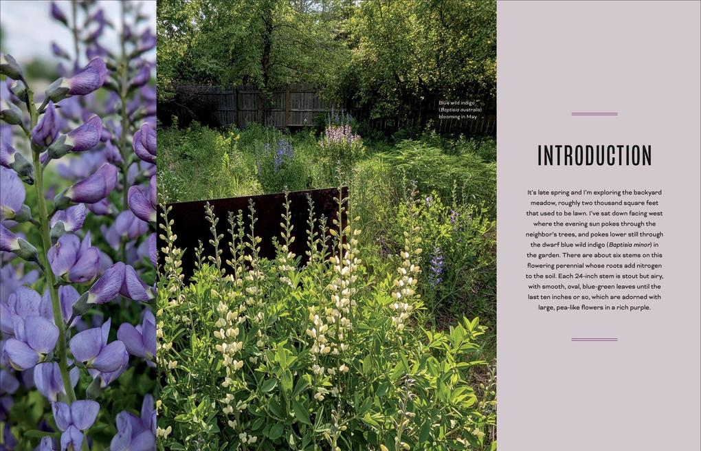 Weitere Ansicht: Unlawn America | Benjamin Vogt