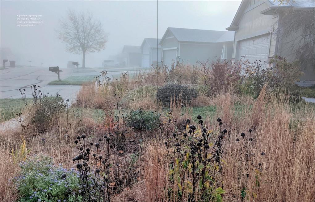 Weitere Ansicht: Unlawn America | Benjamin Vogt