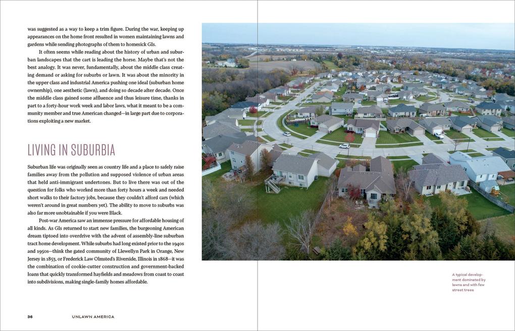 Weitere Ansicht: Unlawn America | Benjamin Vogt