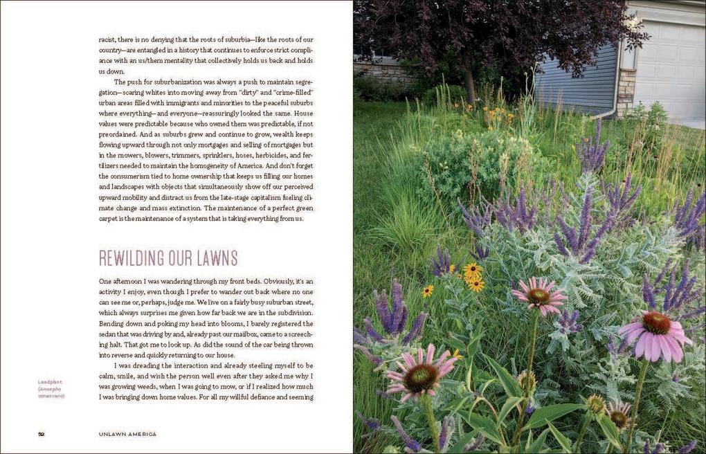 Weitere Ansicht: Unlawn America | Benjamin Vogt