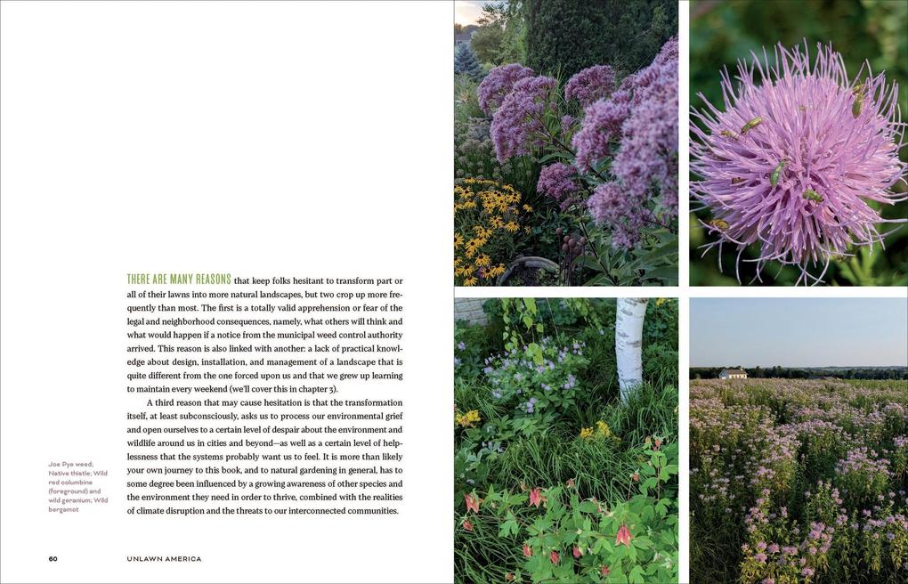 Weitere Ansicht: Unlawn America | Benjamin Vogt