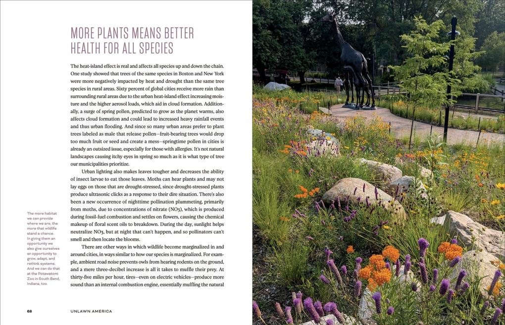 Weitere Ansicht: Unlawn America | Benjamin Vogt