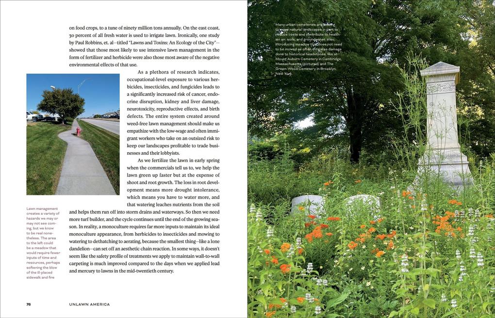 Weitere Ansicht: Unlawn America | Benjamin Vogt