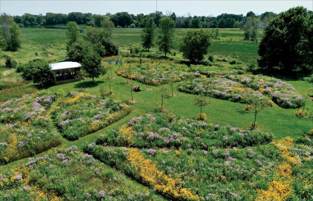 Weitere Ansicht: Unlawn America | Benjamin Vogt