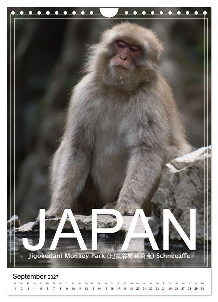 Weitere Ansicht: Japan PosterArt (Wandkalender 2027 DIN A4 hoch), CALVENDO Monatskalender | Michael Lieder - Artem24.eu, Calvendo