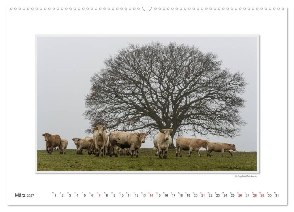 Weitere Ansicht: Emotionale Momente: Der nördliche Westerwald - rau und herzlich. (Wandkalender 2027 DIN A2 quer), CALVENDO Monatskalender | Ingo Gerlach, Calvendo