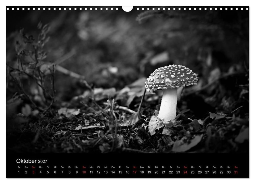 Weitere Ansicht: Hexen (Wandkalender 2027 DIN A3 quer), CALVENDO Monatskalender | Michel Villard, Calvendo