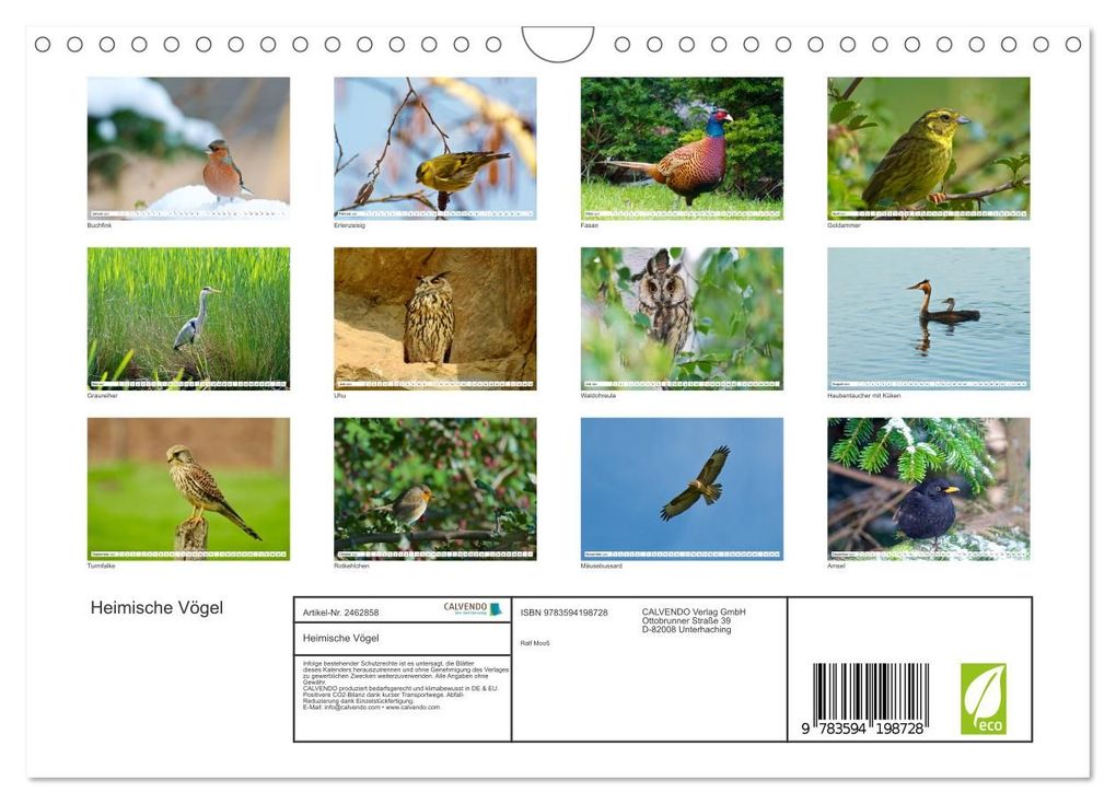 Weitere Ansicht: Heimische Vögel (Wandkalender 2027 DIN A4 quer), CALVENDO Monatskalender | Ralf Mooß, Calvendo