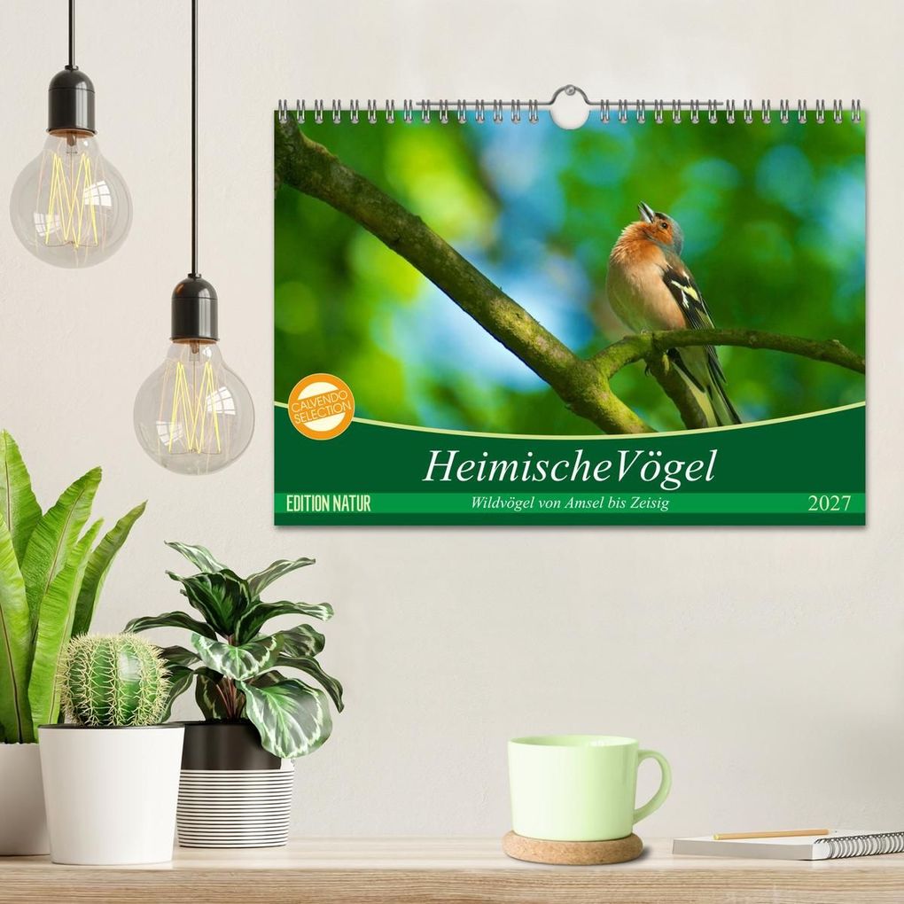Weitere Ansicht: Heimische Vögel (Wandkalender 2027 DIN A4 quer), CALVENDO Monatskalender | Ralf Mooß, Calvendo