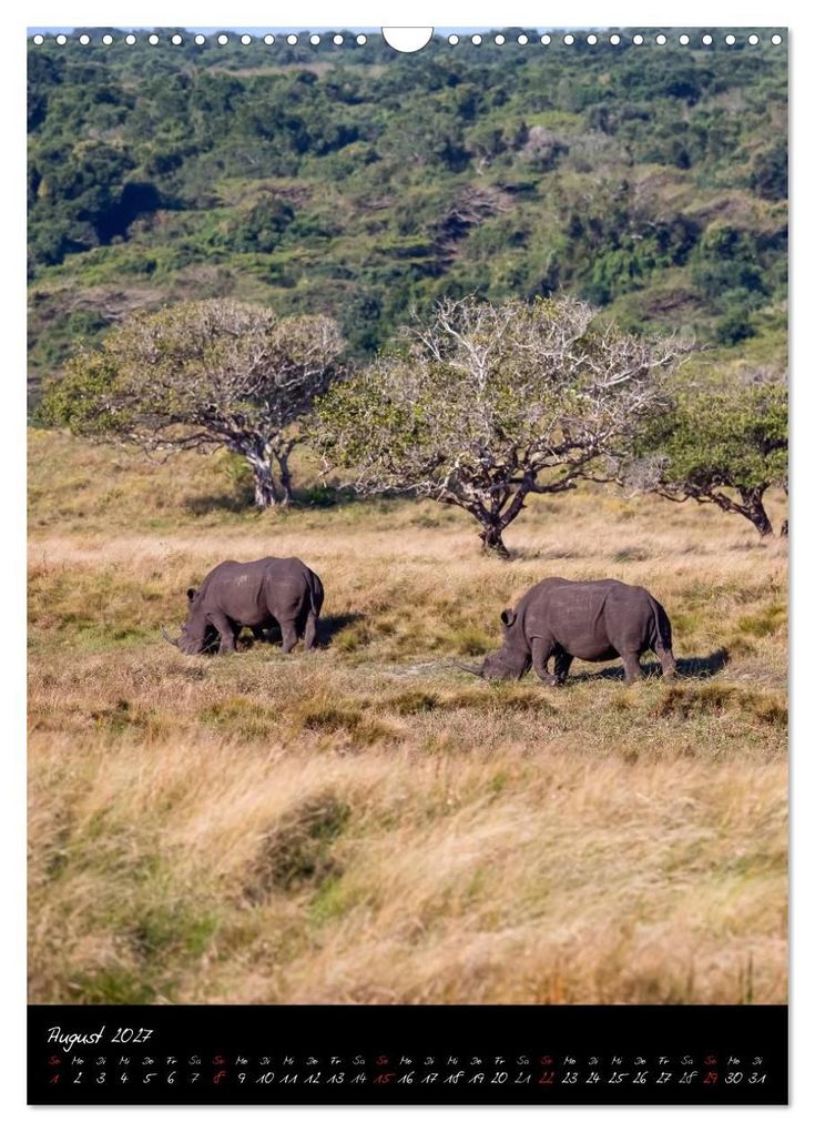 Weitere Ansicht: Südafrika - Sehenswerte Panorama Route (Wandkalender 2027 DIN A3 hoch), CALVENDO Monatskalender | Thomas Klinder, Calvendo