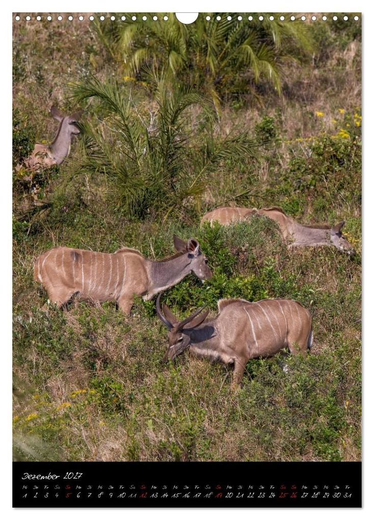 Weitere Ansicht: Südafrika - Sehenswerte Panorama Route (Wandkalender 2027 DIN A3 hoch), CALVENDO Monatskalender | Thomas Klinder, Calvendo