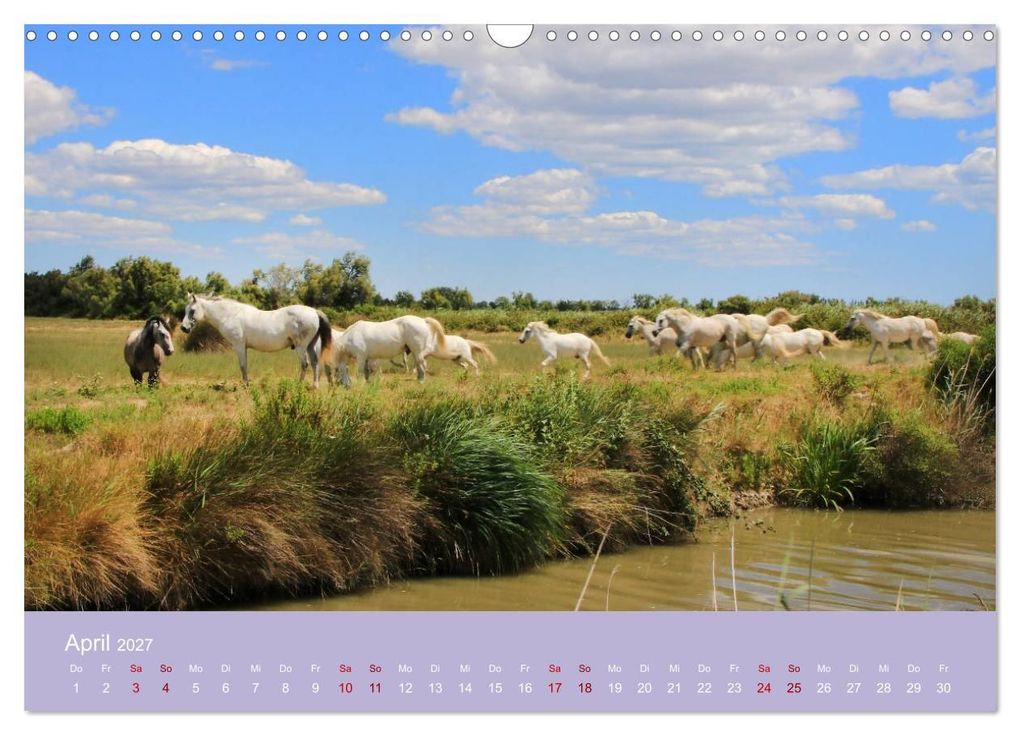 Weitere Ansicht: Die Farben der Provence... und der Duft des Lavendels... (Wandkalender 2027 DIN A3 quer), CALVENDO Monatskalender | Brigitte Dürr, Calvendo