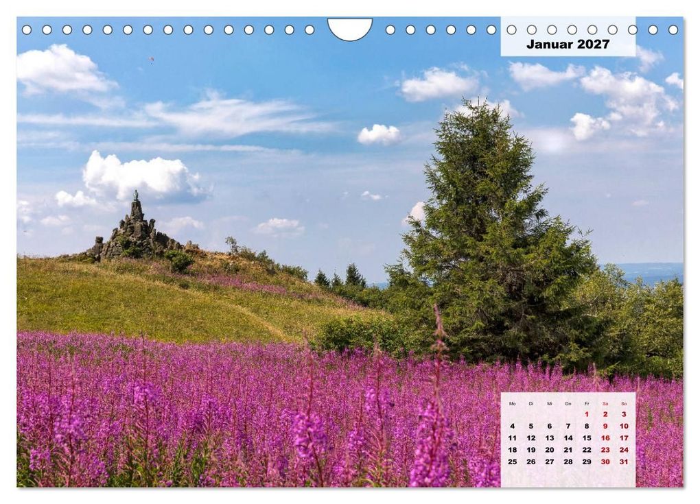 Weitere Ansicht: Rhöner Röschen - ein Sommermärchen in der Hochrhön (Wandkalender 2027 DIN A4 quer), CALVENDO Monatskalender | Hans Pfleger, Calvendo