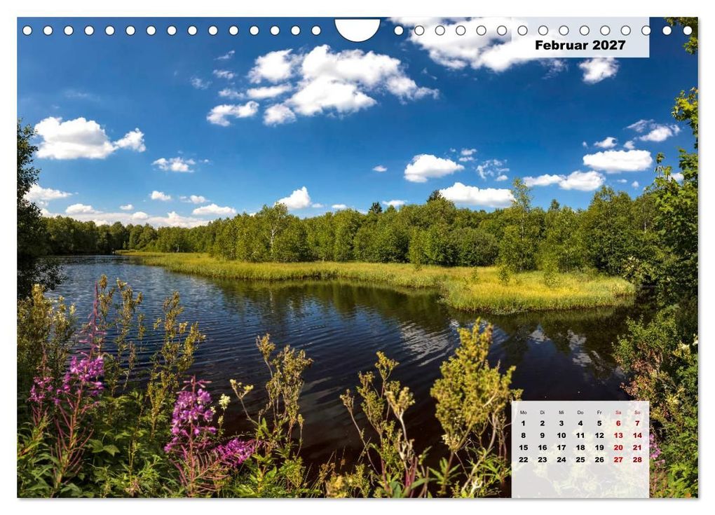 Weitere Ansicht: Rhöner Röschen - ein Sommermärchen in der Hochrhön (Wandkalender 2027 DIN A4 quer), CALVENDO Monatskalender | Hans Pfleger, Calvendo