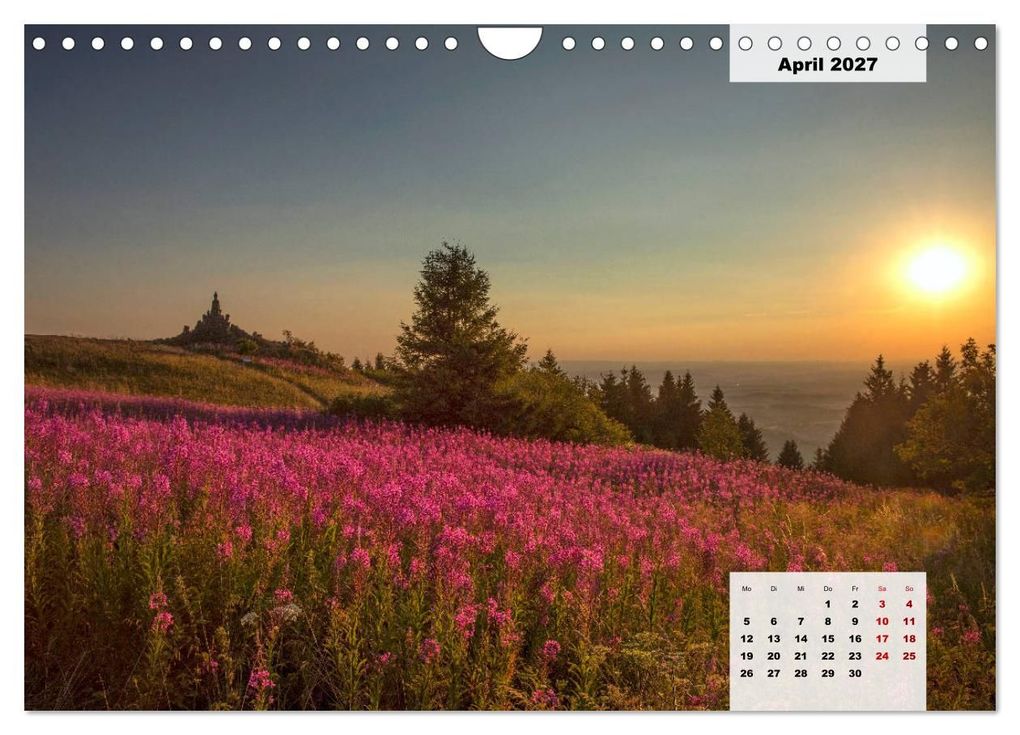 Weitere Ansicht: Rhöner Röschen - ein Sommermärchen in der Hochrhön (Wandkalender 2027 DIN A4 quer), CALVENDO Monatskalender | Hans Pfleger, Calvendo